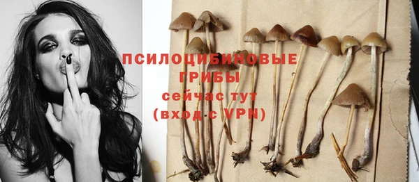 ПСИЛОЦИБИНОВЫЕ ГРИБЫ Алексеевка