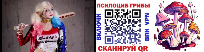 Галлюциногенные грибы прущие грибы  Приозерск 